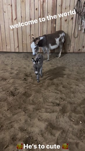 5.4K views · 175 reactions | Diamond K on Reels | Facebook