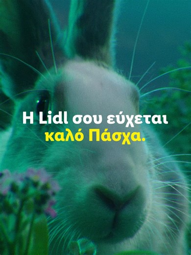 Πασχαλινά κουνελάκια Lidl: Τι τα ενθουσίασε;