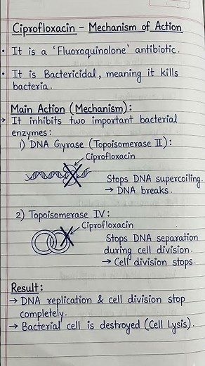 Ciprofloxacin Mechanism of Action | Simple Handwritten Pharmacology Notes #pharmacology #viral
