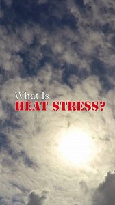 45 reactions | ☀️ Heat stress occurs when our body is not able to cool itself sufficiently, and excess heat builds up. 掠 This can lead to heat-related illnesses such as heat cramps, heat exhaustion and heat stroke. #SGWeather Check the Heat Stress Level on myENV app and weather.gov.sg, before heading out for prolonged outdoor activities. | National Environment Agency (NEA) | Facebook