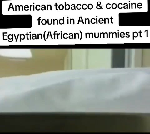 American tobacco & cocaine found in Ancient Egyptian(African) mummies pt 1 | Ancient Kushite Global Empire Media