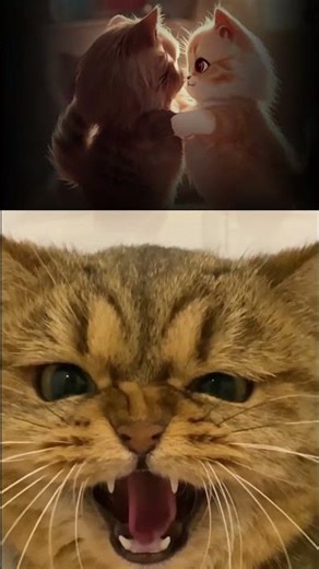 Кот против змеи. Кто кого? #cat #веселыекоты #прикольныекоты #прикольныекоты #коты