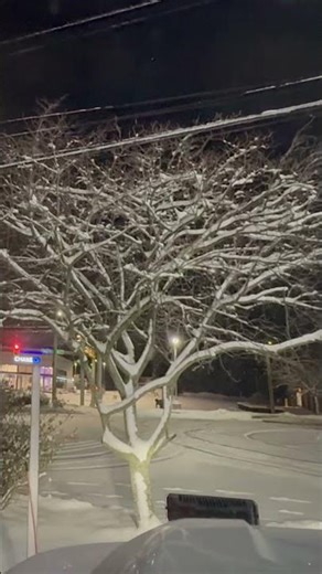 12 Inches of Snow. No Problem. ❄️🚛