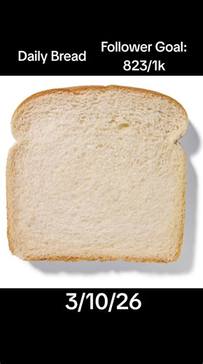 Daily Bread!🍞🍞🍞#breadwinner #bread | bread