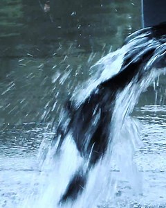 327 reactions · 107 shares | We're ready for you and your kids at Millers Pond in San Antonio! | Texas Parks and Wildlife | Facebook