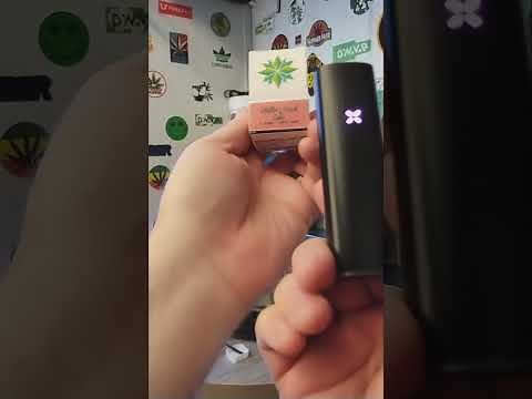 Dabs on the Pax Plus