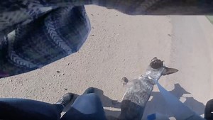 GoPro Records Woman Stealing Drone and Falsely Claiming It 'Almost Killed' Her