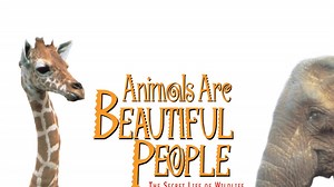 Animals Are Beautiful People - Apple TV