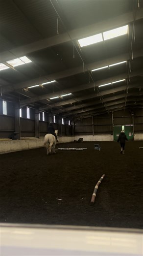 Bienestar a través de la equitación