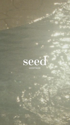 These are the moments you’ve been waiting for. It’s time to chase the sun, the holiday season is here. | seed