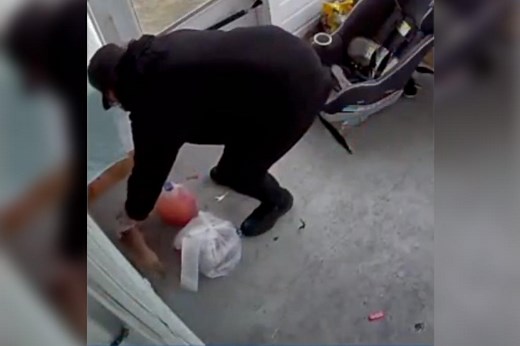 Video shows DoorDash driver stealing a family’s new puppy