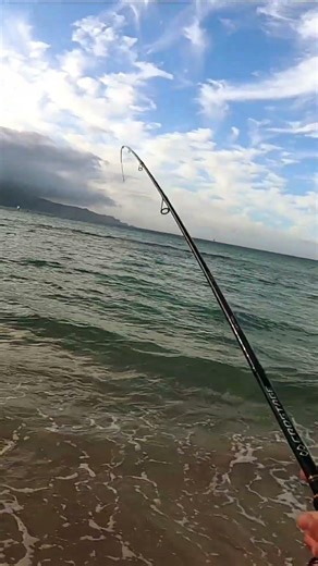 Micro Jigging Action