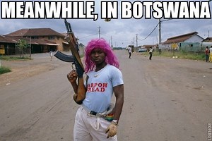 [Image - 247673] | Meanwhile in...