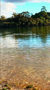 Calm Island 🌊 Gentle Ripples for Deep Relaxation #shortsfeed