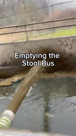 All aboard the Stool Bus #shorts