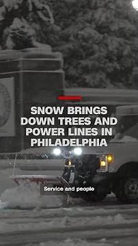 Snow brings down trees and power lines in Philadelphia