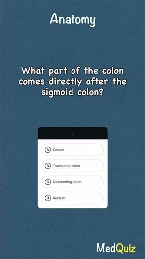 What part of the colon comes directly after the sigmoid colon?