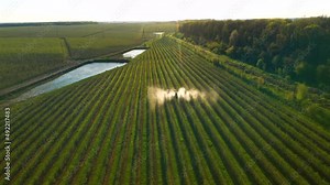 Farming machinery spraying orchards with herbicides and pesticides at sunset. Filmed in 4k video.