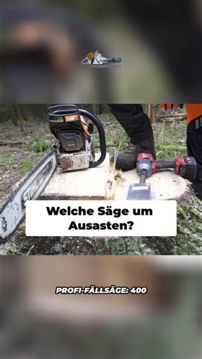 Chainsaw for pruning