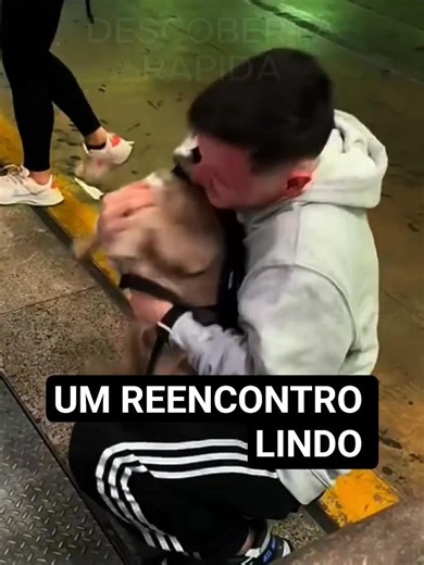 Reencontro emocionante, cachorro vs Humano