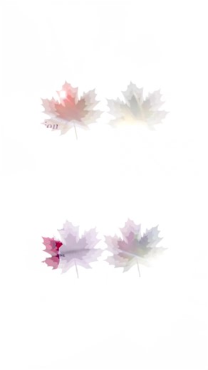 Videos de Ros jijiji (@roco.pizango) con “sonido original - ⚡️Roni tagkamash⚡️🎤”