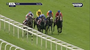 10K views · 373 reactions | “The answer is he’s 90 per cent certain to be supplemented." Elarqam poised to be supplemented for the Juddmonte International at York next week  >>>https://www.racingtv.com/news/elarqam-poised-to-be-supplemented-for-juddmonte-international | Racing TV | Facebook