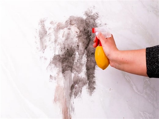 Fun DIY and Crafty Projects to spark your Creativity