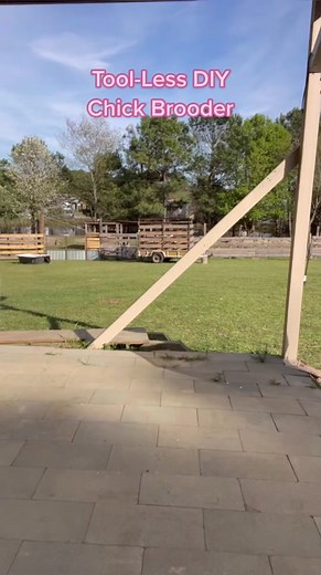 Tool-Less DIY Chick Brooder Ideas for Backyard Flock 2023