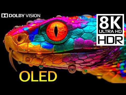 OLED Demo & OLED Test: Stunning 8K Dolby Vision Wild Animals HDR – Relaxing Music for Sleep