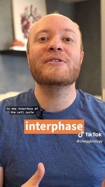 Exploring Hepatocytes and the Cell Cycle with Chegg Biology