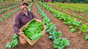 27K views · 4.4K reactions | Watch What We Do With The 1st Harvest...