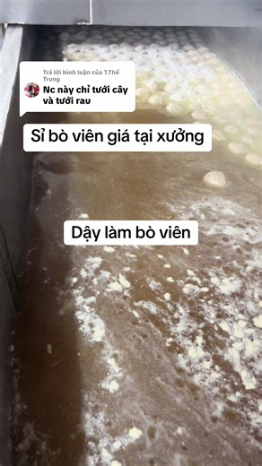 Cách Làm Bò Viên Ngon Tại Nhà