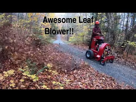 #339 Leaf Blower. FERRIS FB2000 Hurricane Stand On Debris Blower. Fall Leaves on Driveway. outdoors.