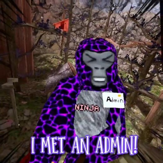 I MET an ADMIN! #gorillatag #shorts #shortsfeed #phonk
