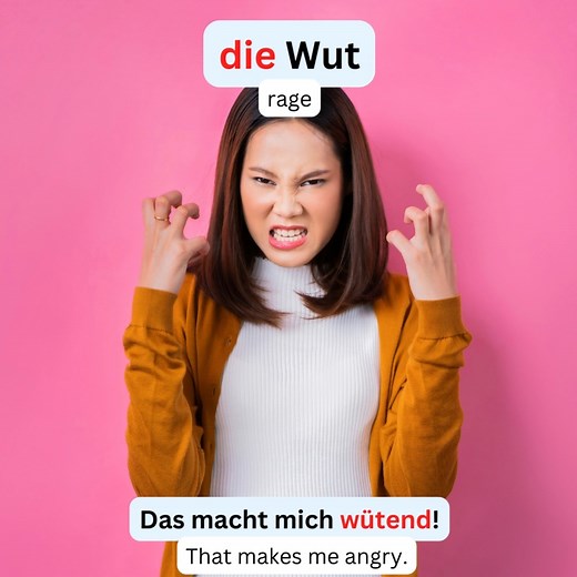 Liebe Deutschlerner & dear German learners🥰 Kennst du schon alle Emotionen auf Deutsch?😲 Do you know all these emotions in German? 📌Vokabeln the emotion — die Emotion the mood — die Laune happy — glücklich sad — traurig excited — begeistert the joy — die Freude the love — die Liebe the hate — der Hass angry — wütend to feel — sich fühlen the feeling — das Gefühl the hope — die Hoffnung depressed — deprimiert the sympathy — das Mitgefühl lonely — einsam satisfied — zufrieden proud — stolz disa