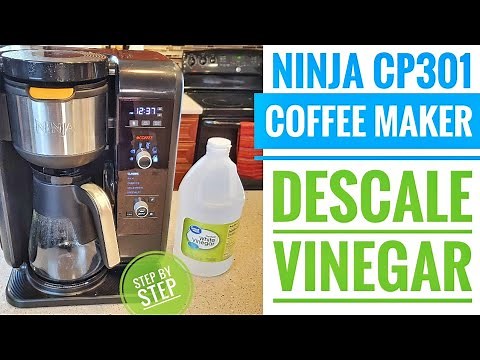 Ninja CP301 Coffee Maker HOW TO DESCALE using Vinegar Hot & Cold Brewed System