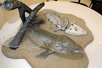 Communicating good science to a polarized US public