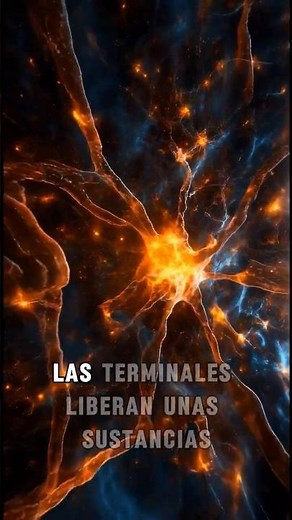 ASÍ FUNCIONAN TUS NEURONAS #ciencia #biologia #física #química #science #biology #physics #fyp