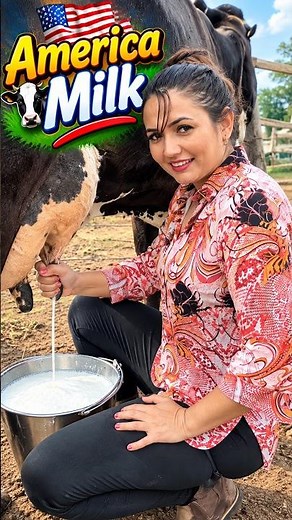 America Milk 🥛🐄🇺🇸 | Fresh Cow Milk, Dairy Farming & Real Farm Life | Maria Vlogs #cowfarming