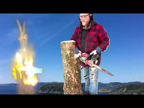 Salvaged Wood Carving ,having a little fun. Abstract Hummingbird