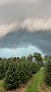 33 reactions · 4 comments | Oh my! What an eerie, alien creepster feeling storm that rolled in. We’ve never seen anything like this. Stan said “ok, let’s go!!” ️ | The Ice Farm | Facebook