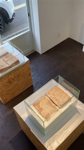 Salt books last in Japan. 2025 Dec