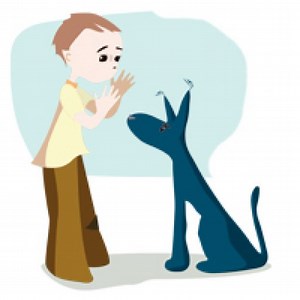 Le refuge (La SPA) de Saint-Pierre-du-Mont