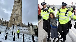 Animal Rebellion activists douse Parliament in white paint in anti-milk protest