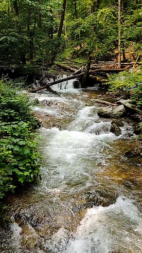 THE WELCOME INTO NEW JERSEY HEADING NORTHBOUND ON THE APPALACHIAN TRAIL ♥️ #appalachiantrail #hikingadventures #hike #hiking #atthruhike #thruhiker #goodvibesonly #backpacking #backpacker #water #creek #waterfall #positivity #positivevibes #reels #reelsfb #reelsviral #relax #outdoors #forest #backcountry #mountains #myhappyplace #newjersey #Jersey #outdoorlife | Trail Marshall Hiking