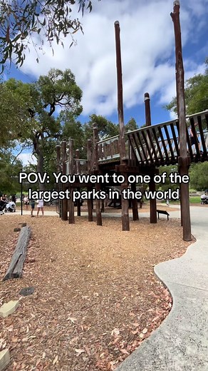 Exploring Kings Park: A Playground Paradise in Perth