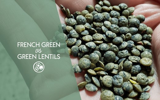 French Green Lentils VS Green Lentils: Why They’re So Different | PlantBasedFAQs.com | Learn About Plant-Based Foods