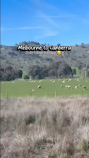 Melbourne to Canberra: Solo travel 🧳 #melbourne #canberra #travel #travelvlog #ytshorts #minivlog