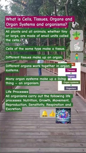What is Cells, Tissues, Organs and Organ Systems and organisms? / GK/ Facts #viral #cell #organisms