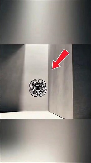 #birdtrend #2025 #october